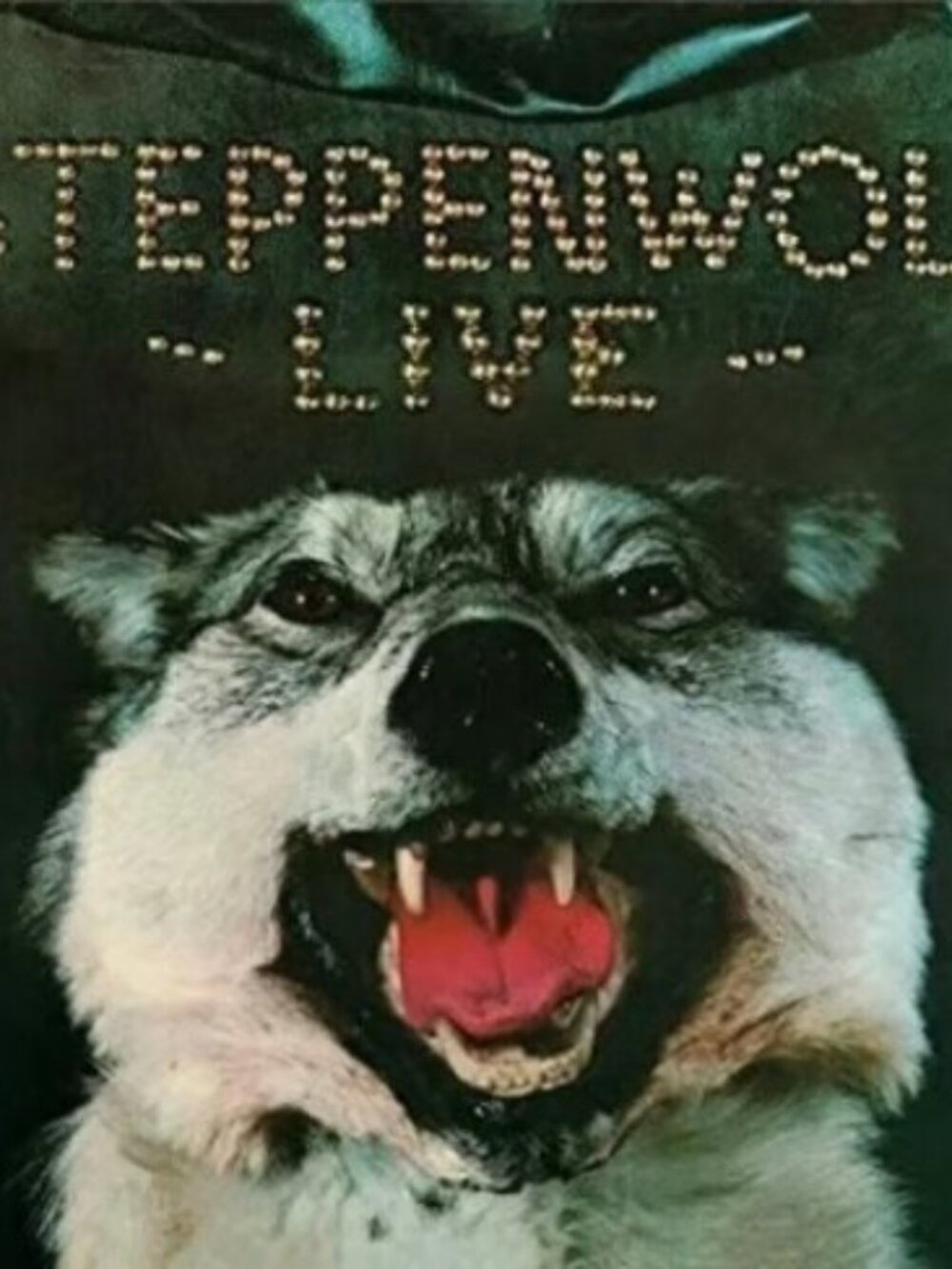 Steppenwolf Steppenwolf Live 2-LP ~ Ltd Anniv. Ed 180g Vinyl ~ New/Sealed!